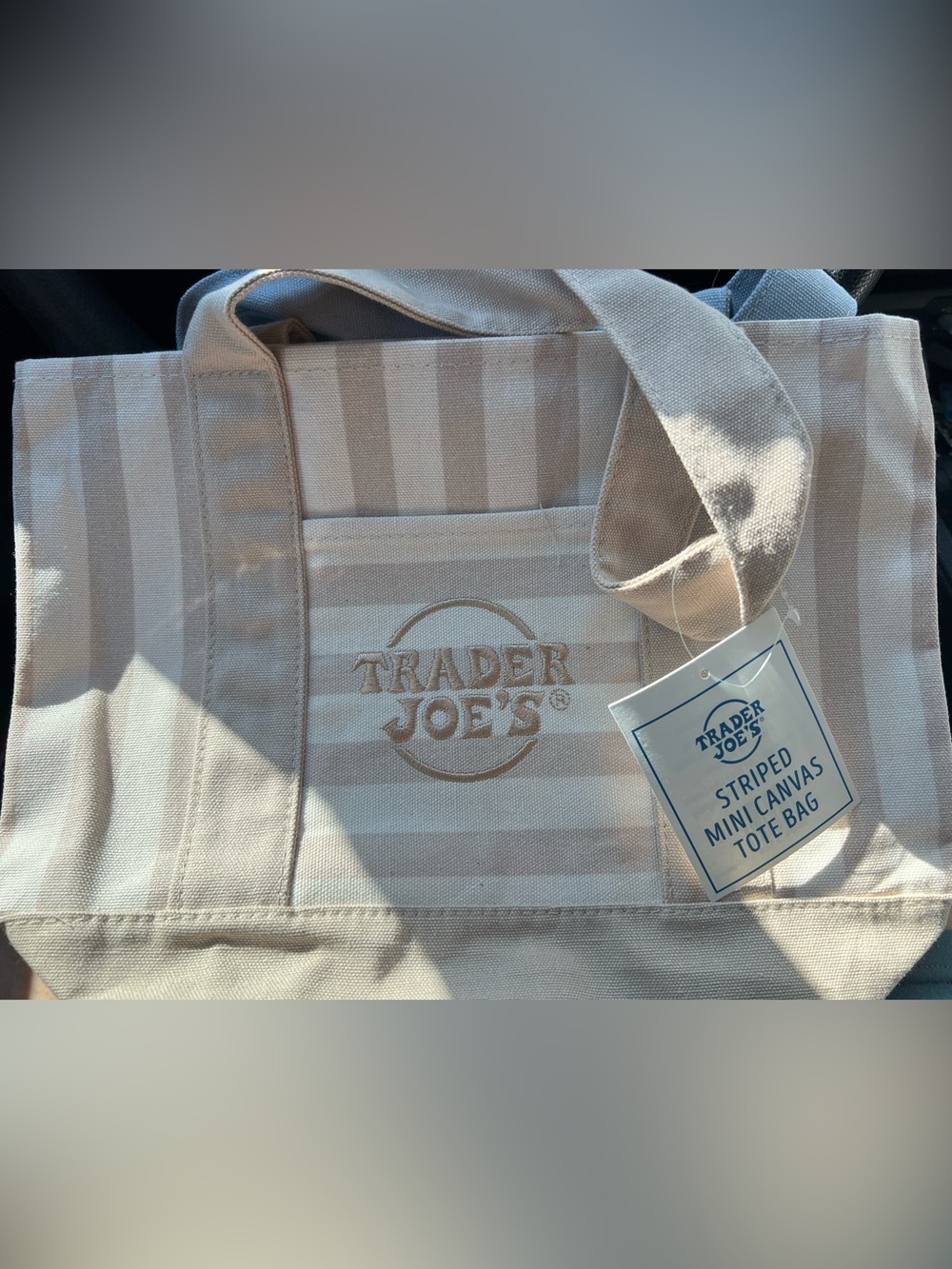 Trader Joe's Beige Striped Mini Canvas Tote Bag